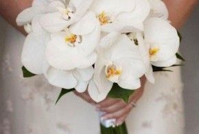 букет невесты