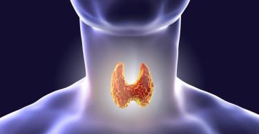 Эндокринные болезни